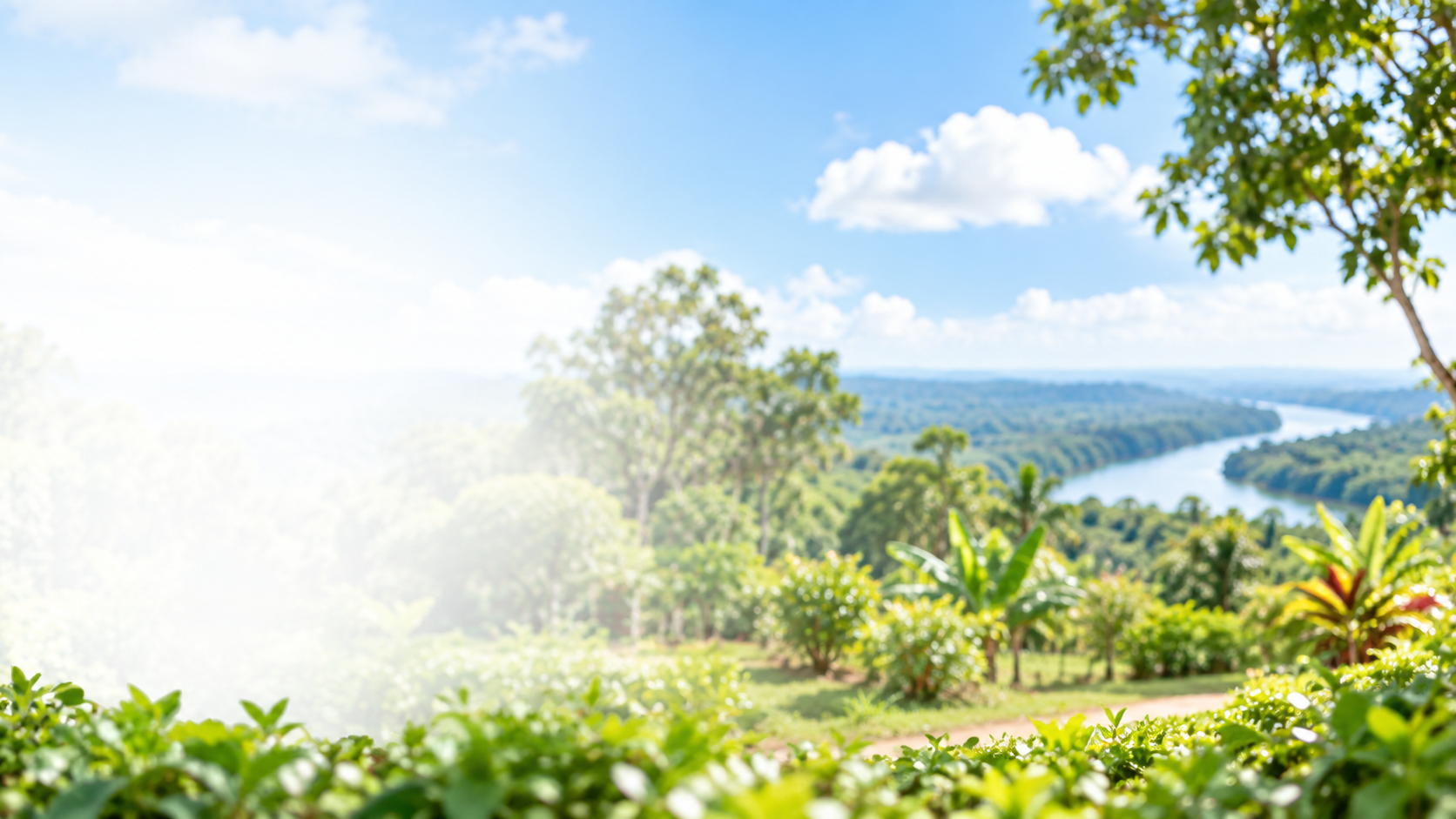 Paisaje amazónico de Madre de Dios